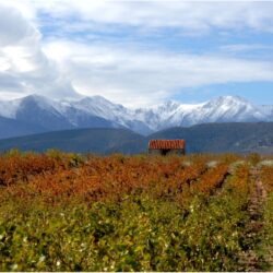 Roussillon: hiding in plain sight