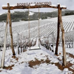El Bierzo En Copa Alta