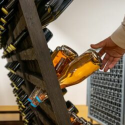 The Future Is Verdicchio