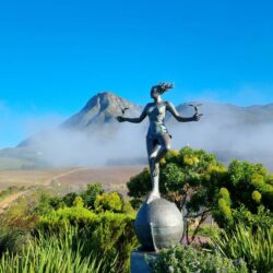 South Africa’s Secret Weapon